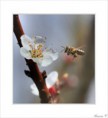 /album/fotogaleria/qn1-393666-s-jpg/